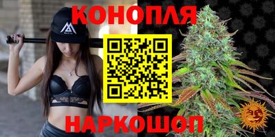 гидра Малоярославец